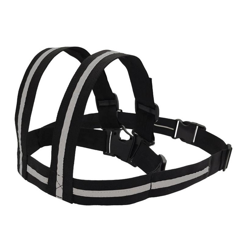 Passenger Riding Harness